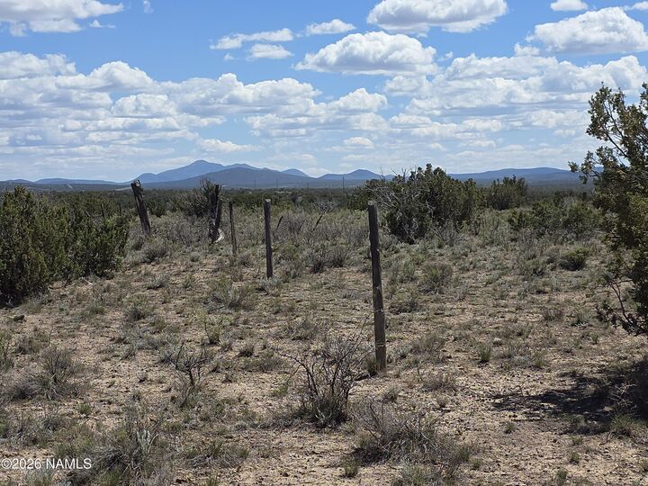 Property Photo:  11718 S Blackbird Way  AZ 86046 