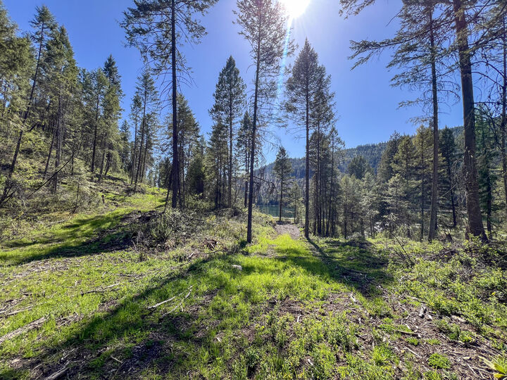 Property Photo:  16tbd Williams Lake Rd  WA 99114 