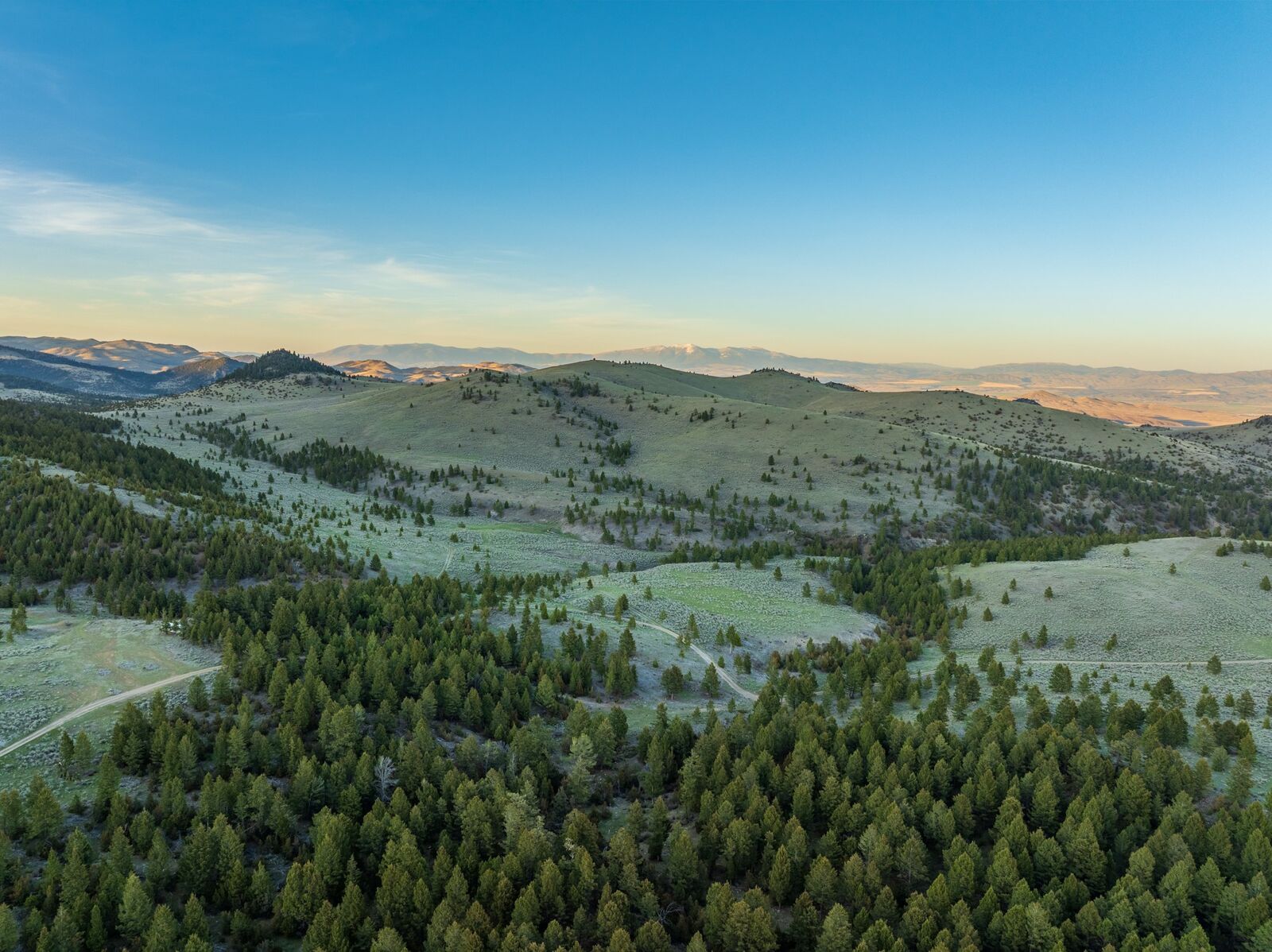 Property Photo:  Tbd Keating Gulch Road  MT 59641 