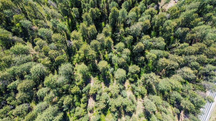 Property Photo:  1879 S 25 Hwy  WA 99141 