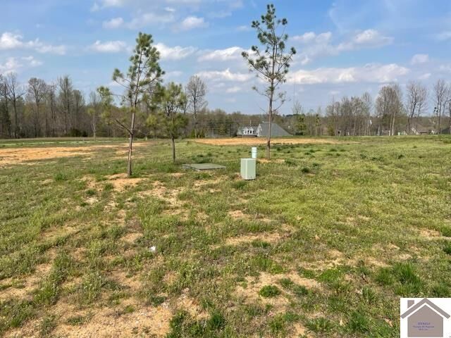 Property Photo: 230 Falling Brook Dr KY 42003