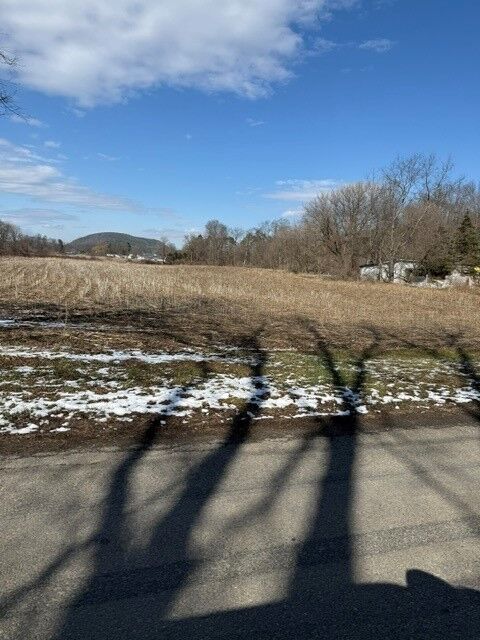 Property Photo:  22 Brooks St, Lot C  NY 14883 