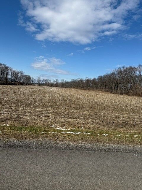Property Photo:  22 Brooks St, Lot A  NY 14883 