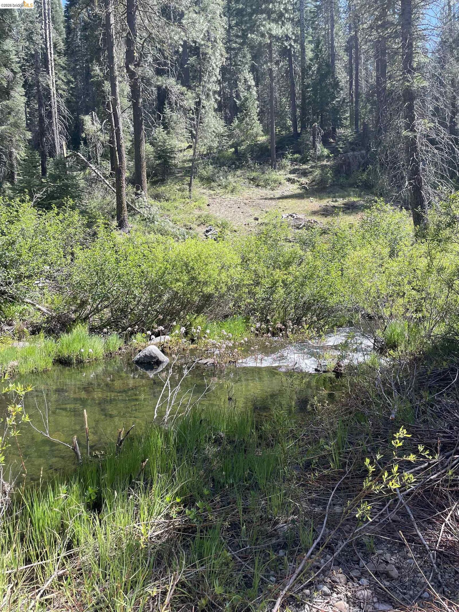 Property Photo:  26777 Browns Meadow Rd  CA 95335 
