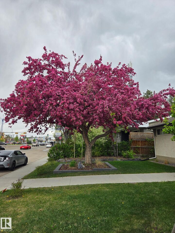 Property Photo: 8603 149 Street NW AB T5R 1B3