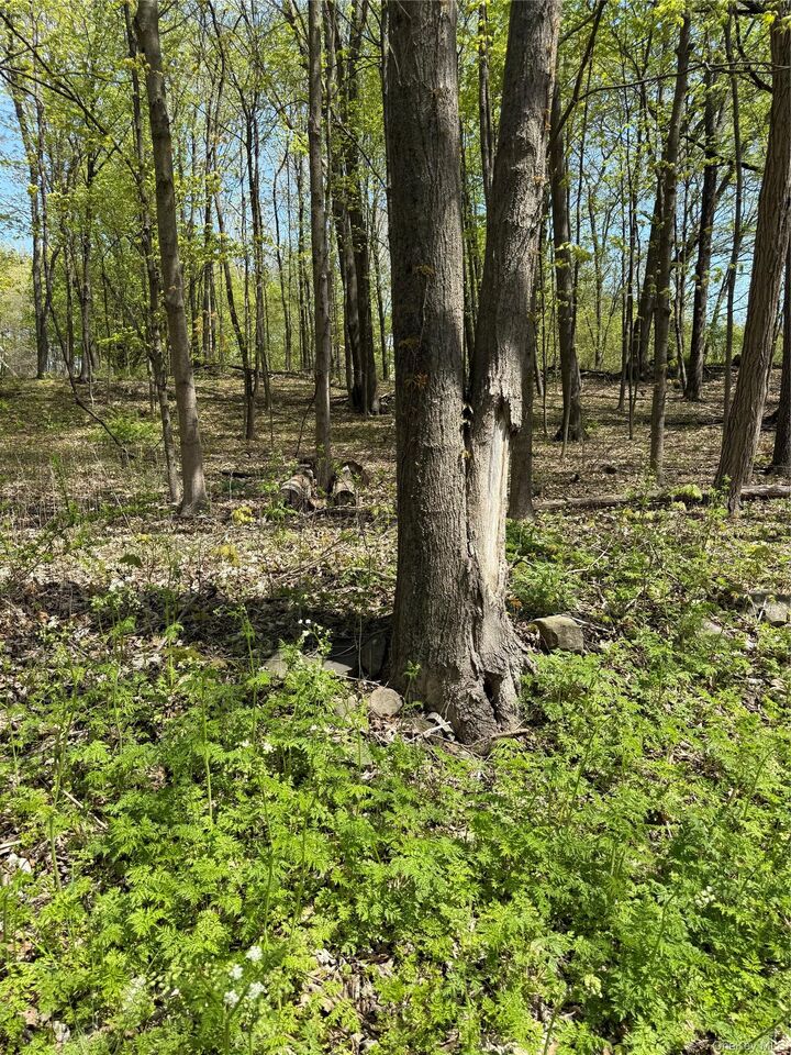 Property Photo:  120 Floyd Ackert Road  NY 12429 
