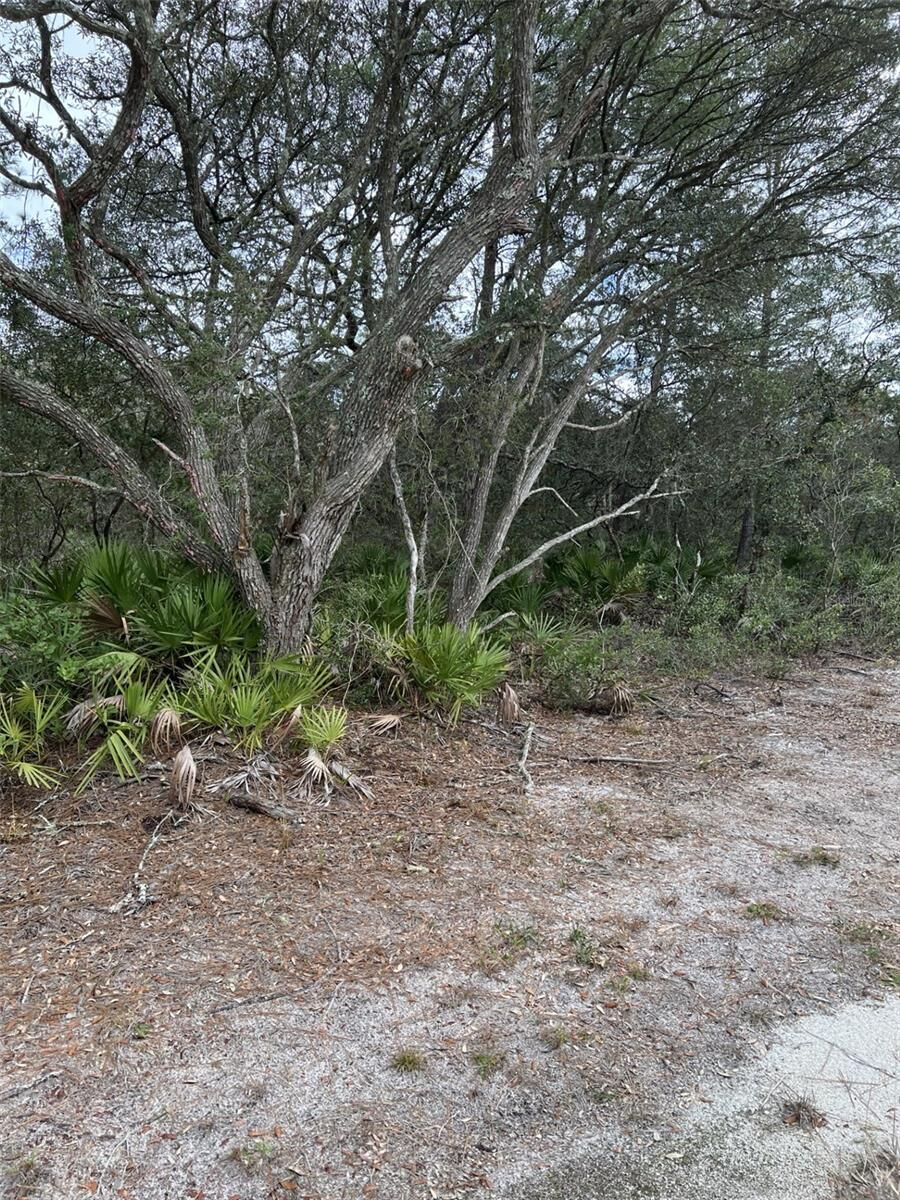 Property Photo:  0 NE 144 Court  FL 32134 