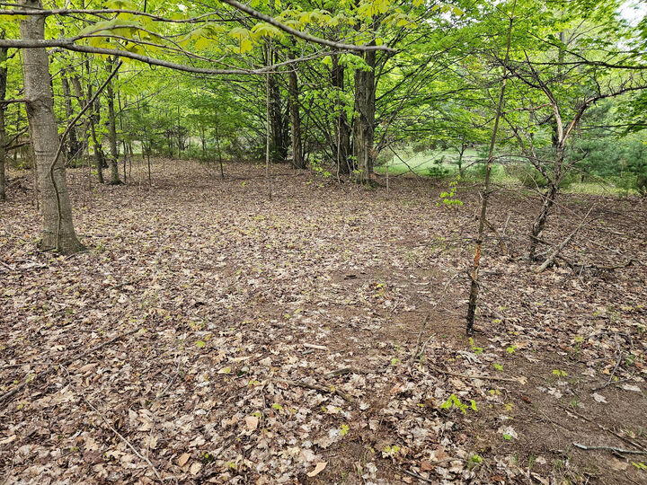 Property Photo:  Sadie Lane  MI 49614 