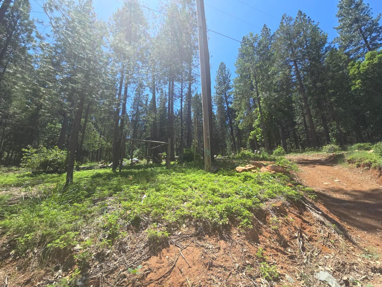Property Photo:  12181 Robust Way  CA 95959 