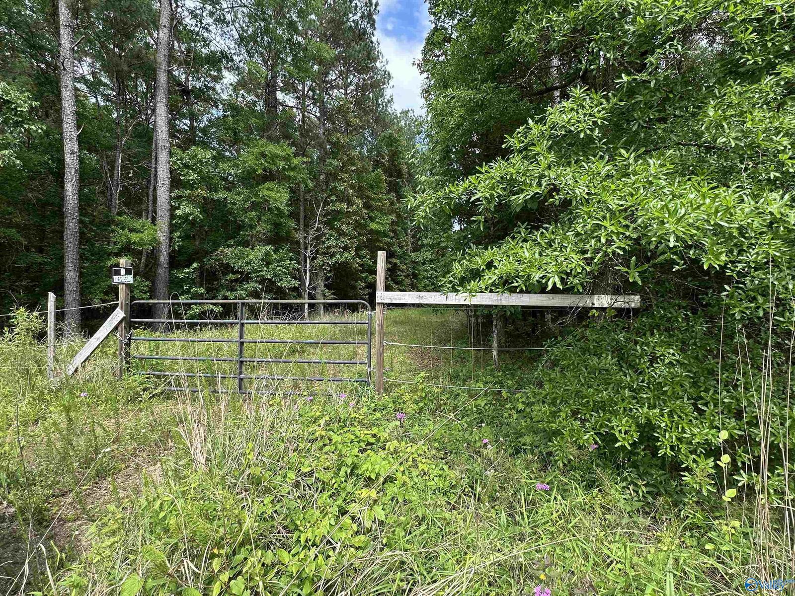 Property Photo: 243 Friendship Road AL 35906