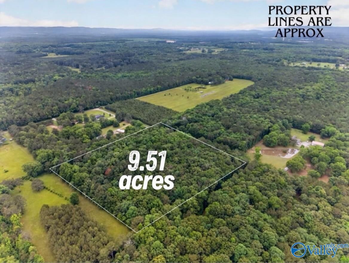 Property Photo:  243 Friendship Road  AL 35906 