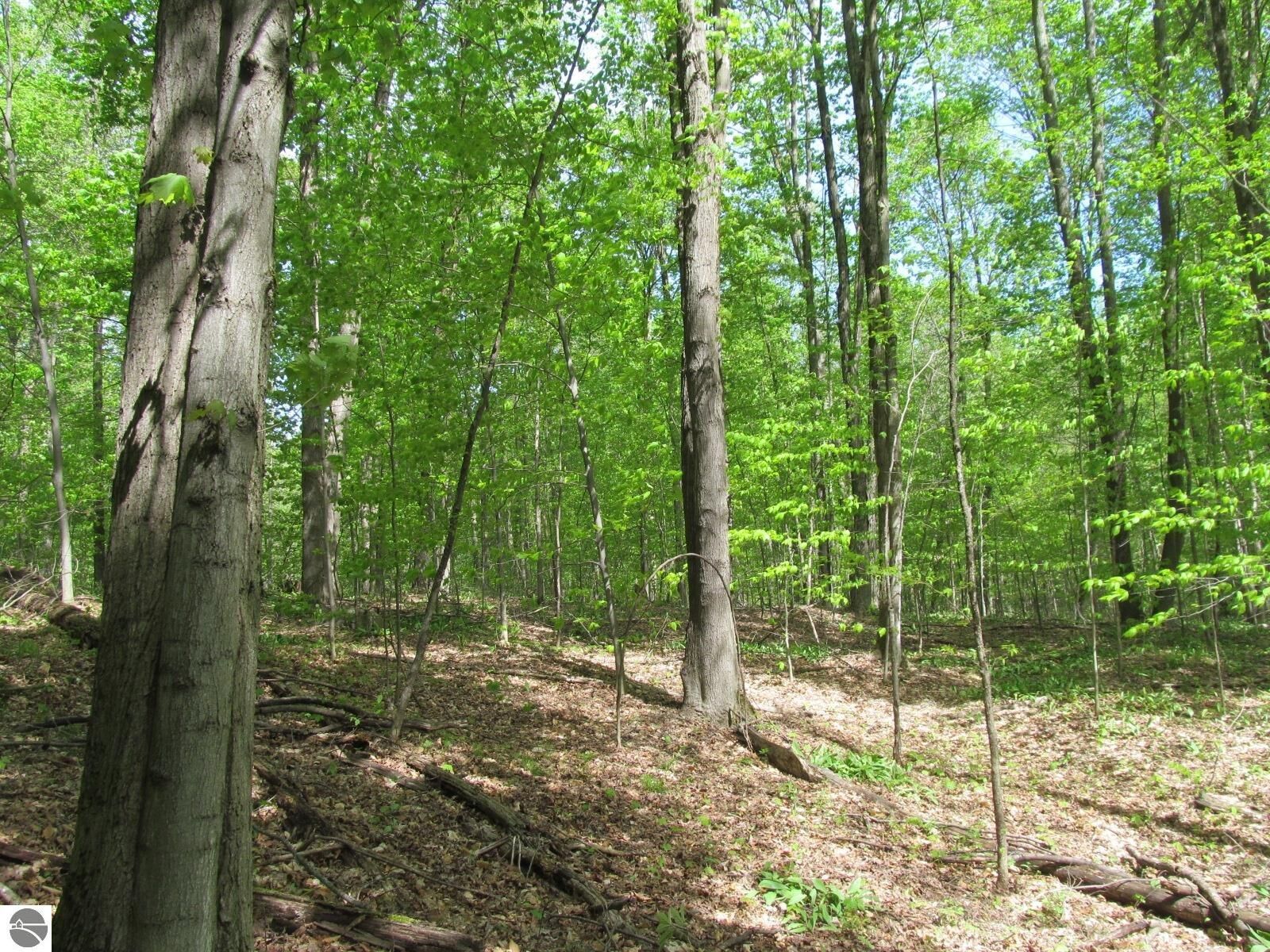 Property Photo:  0 M-115  MI 49688 