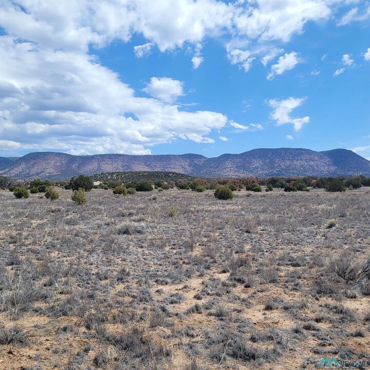 Property Photo: Xx (Lot 46) Southern Trail NM 87821-0000