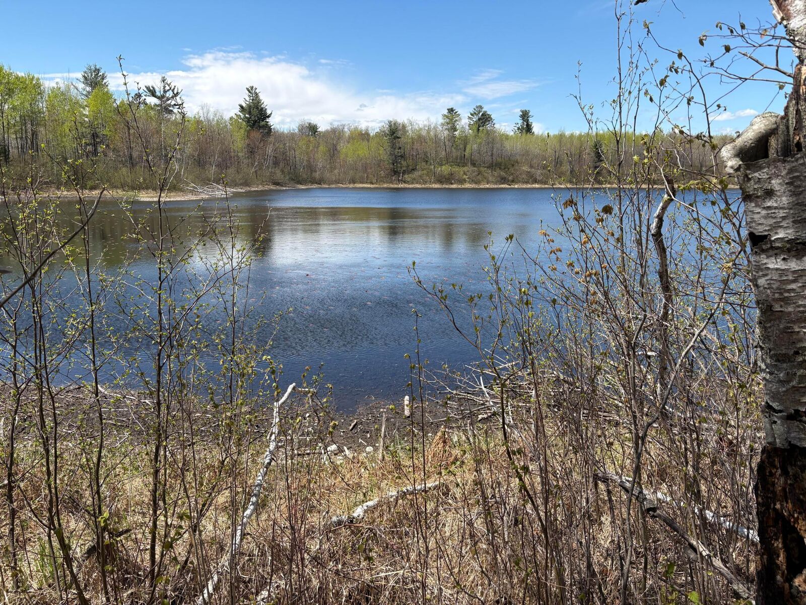 Property Photo:  854X W Chub Lake Rd  MN 55718 