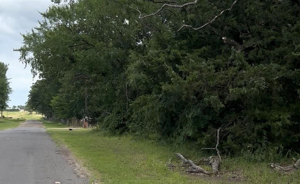 Property Photo:  County Road 1805  TX 75140 