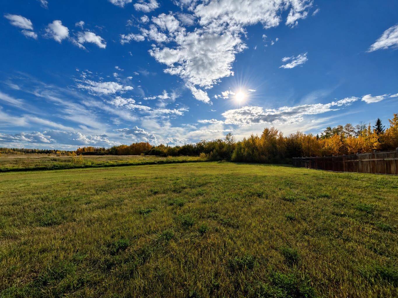 Property Photo: 9033 59 Avenue AB T8W 0K1