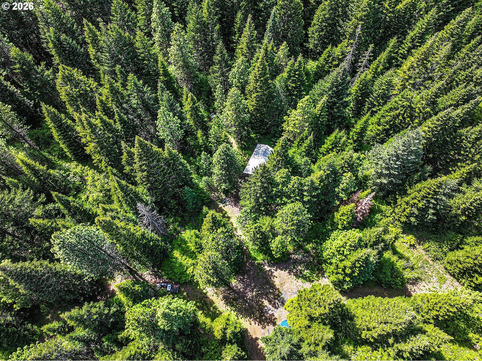 Property Photo:  20 Mountain Pine 6  WA 98602 