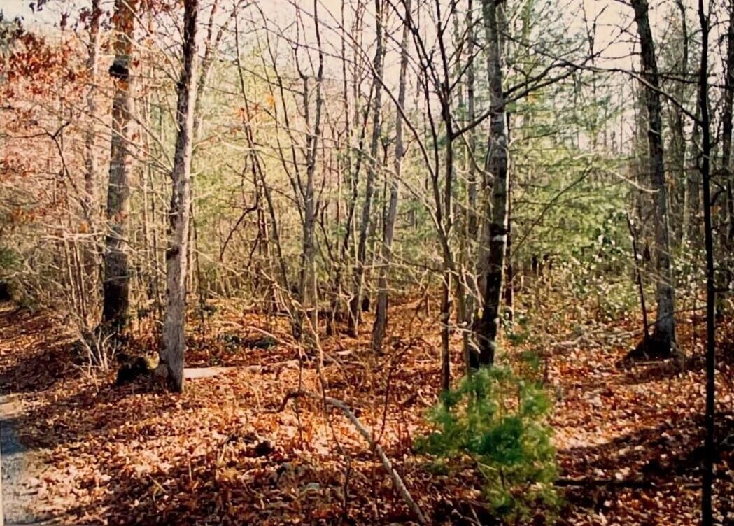 Property Photo: 9880 Wolf Trap Ln VA 22821