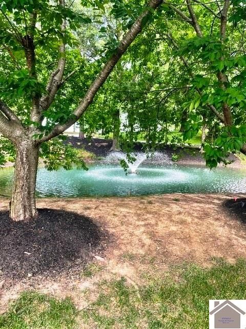 Property Photo: 245 Falliing Brook Dr KY 42003