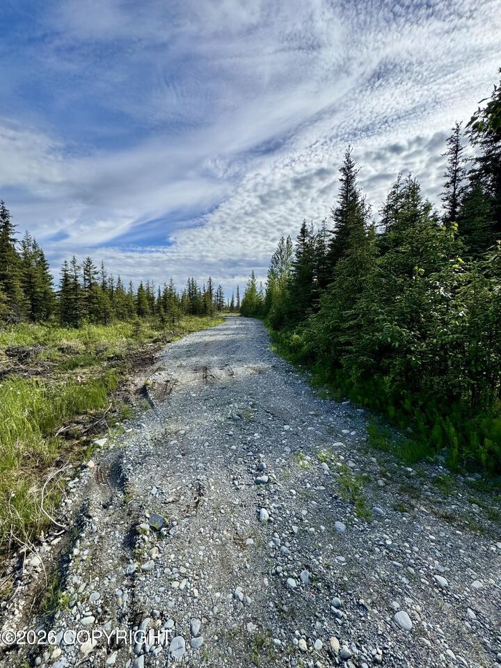 Property Photo:  34895 N Fork Road  AK 99556 
