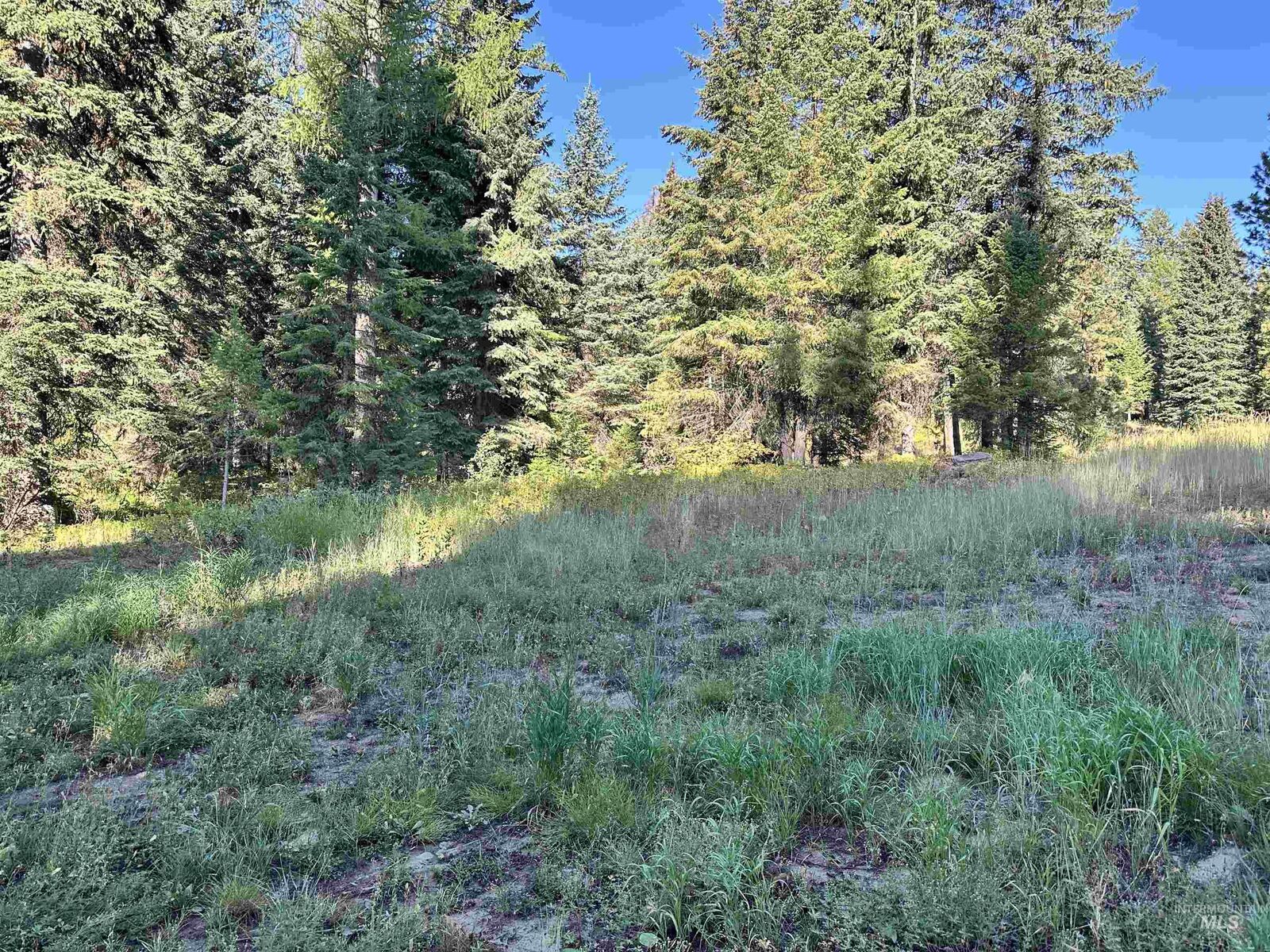 Property Photo: 17 Andy Lane ID 83615