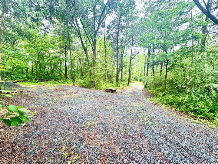 Property Photo: Slaughters Mill Road VA 22729