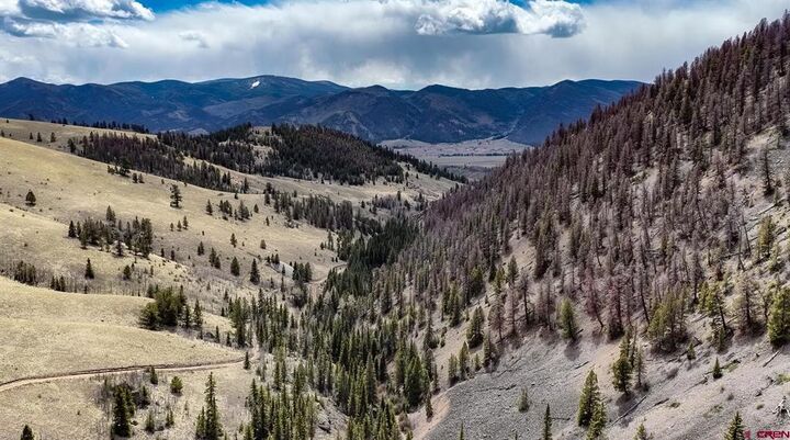 Property Photo:  1441 Forest Road 507 1A  CO 81130 