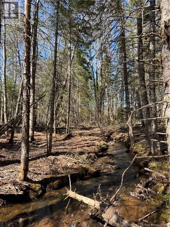 Property Photo:  Lot Route 905  NB E4Z 6C4 