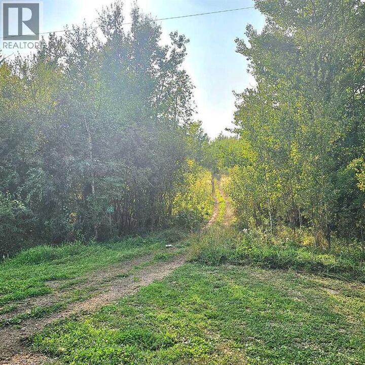 Property Photo:  67458 McGrane Road  AB T0A 2C0 