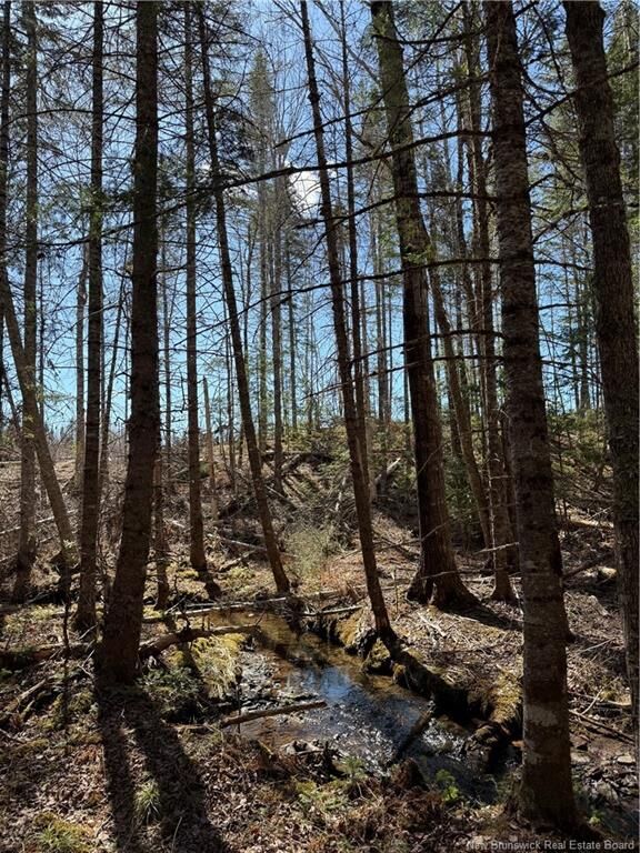 Property Photo:  Lot Route 905  NB E4Z 6C4 