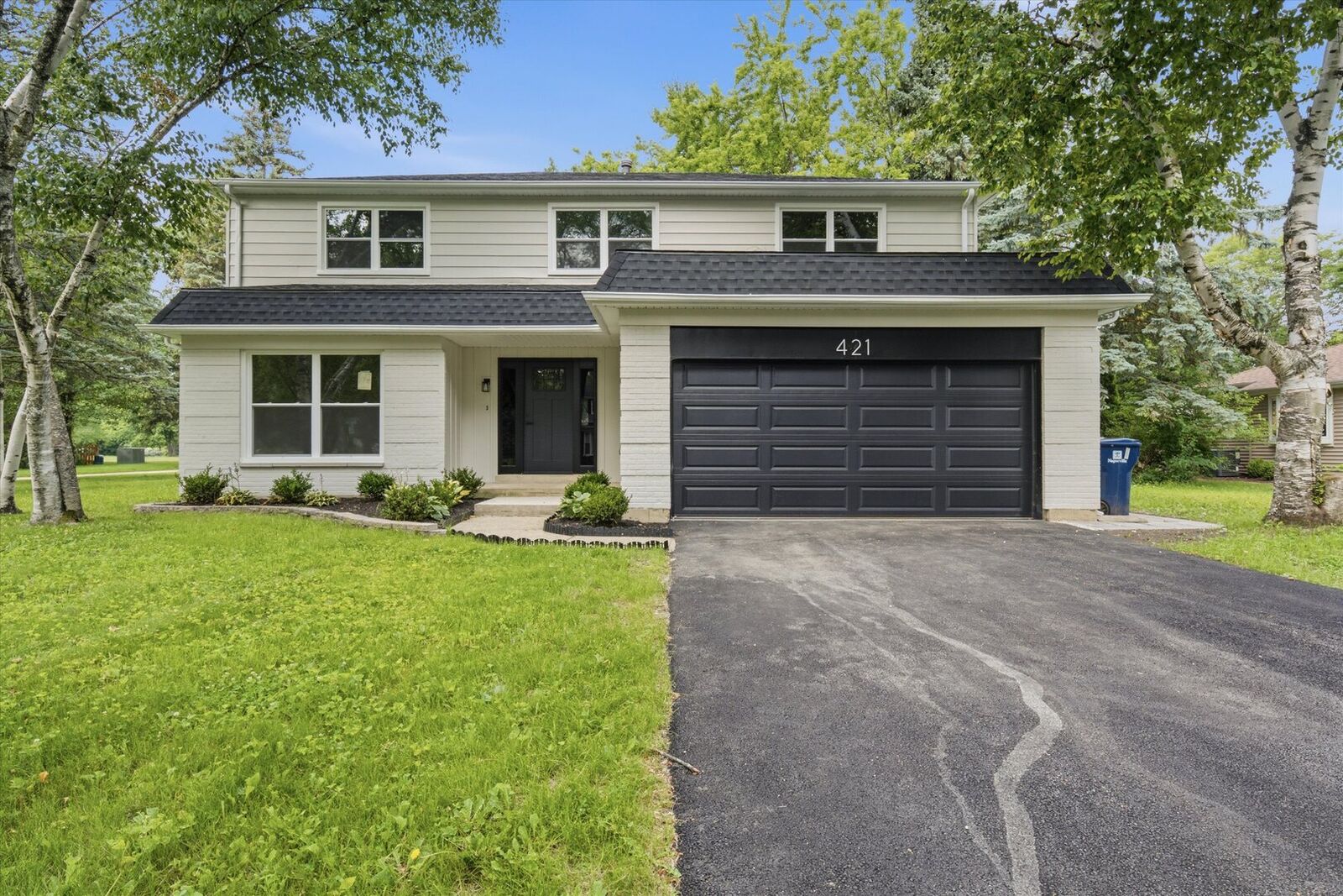 Property Photo:  421 Russet Avenue  IL 60565 