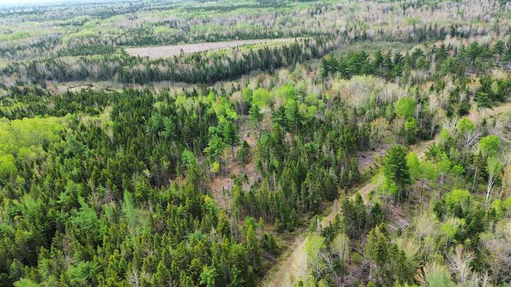 Property Photo:  V/L 204 Highway  NS B0M 1P0 
