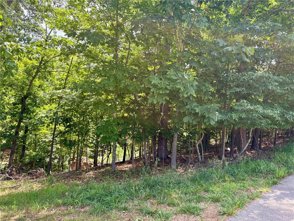 Property Photo: Lot 33,34,35 Acapulco Drive AR 72756