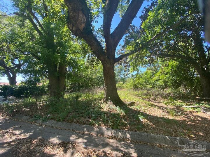 Property Photo: 1401 N N St FL 32501