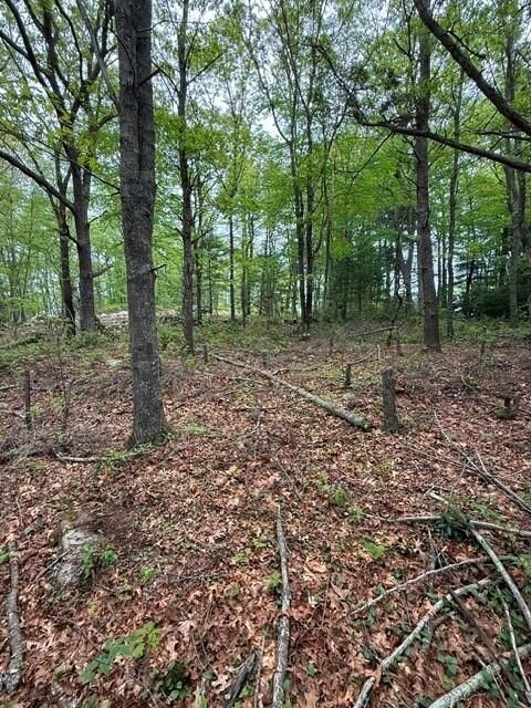 Property Photo: 12 Fallon Trail RI 02891