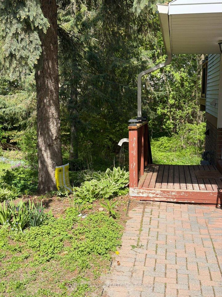 Photo de la propriété: 12 Wiles Court Basement ON L4G 3N5