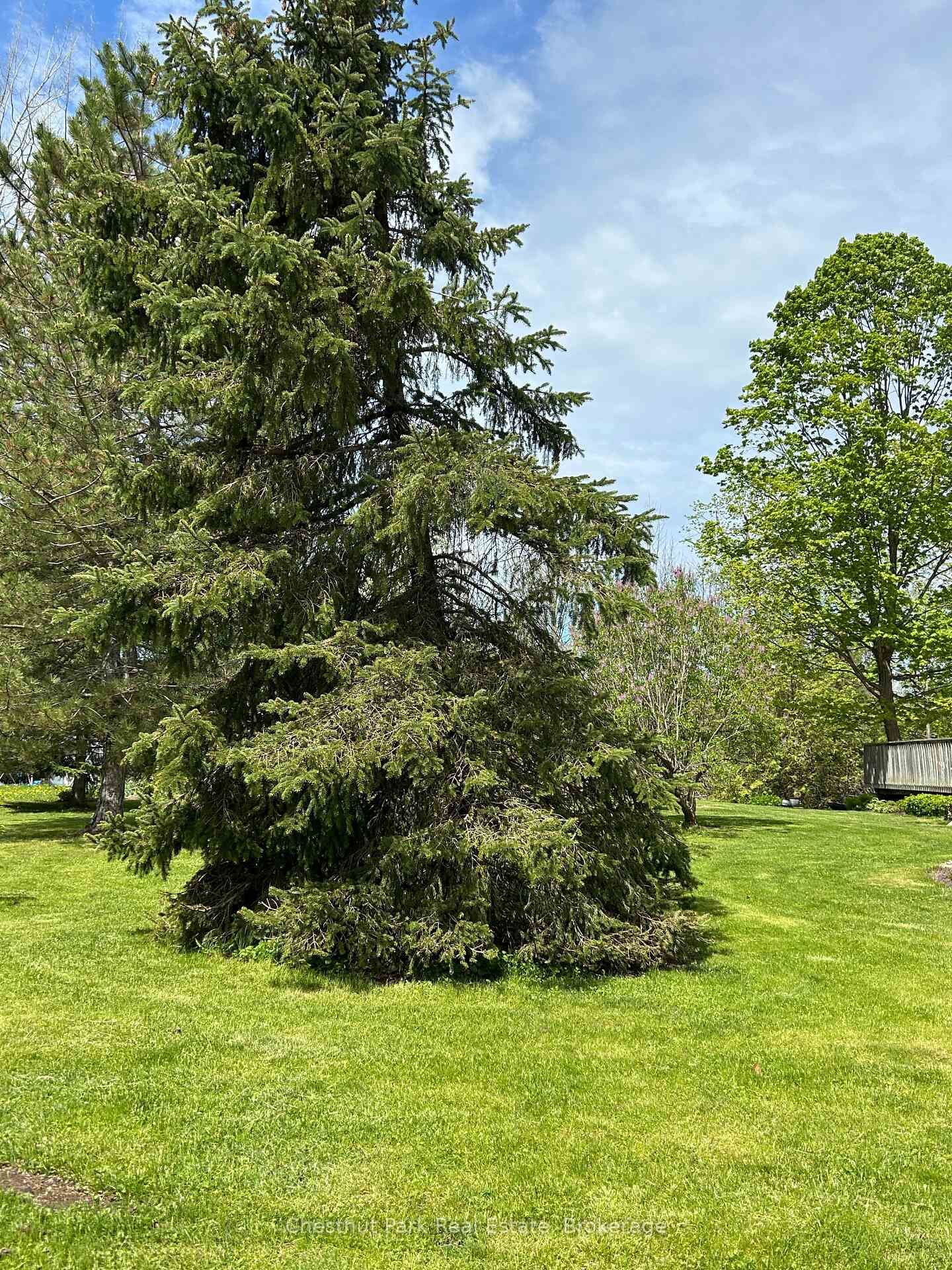 Property Photo:  13 Pollard Drive  ON N4L 1A7 
