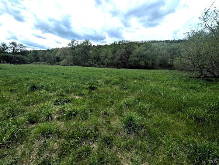Property Photo:  N Main Extension  NY 14843 