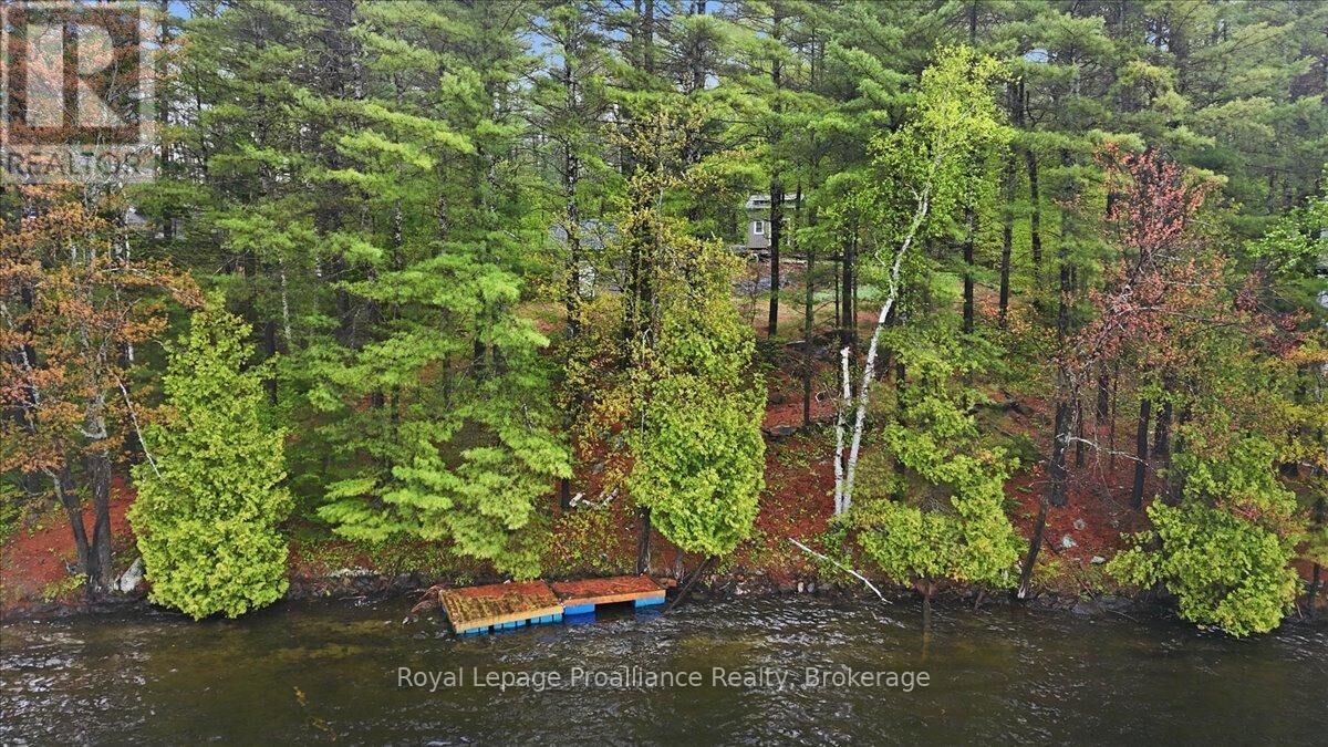 Property Photo:  1419 Turtle Lake Lane  ON K0H 2M0 