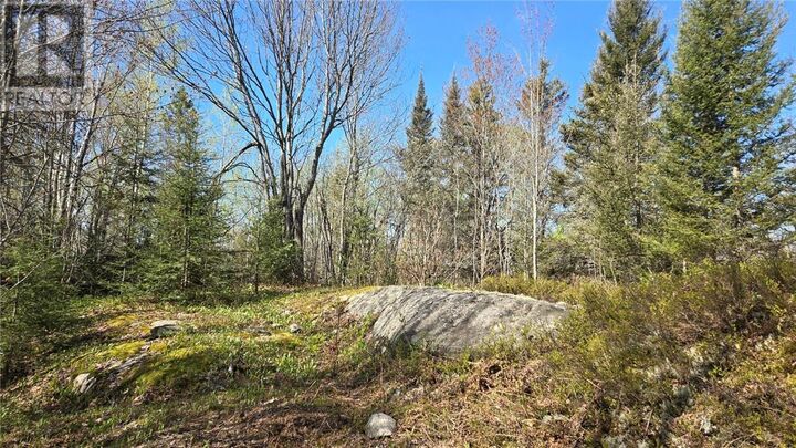 Property Photo:  Lot 6 Con 3 Rabbit Trail Road  ON P0H 2N0 