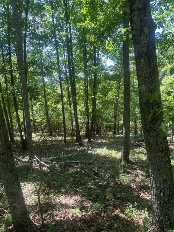 Property Photo: 0 Owl Ridge Way GA 30143