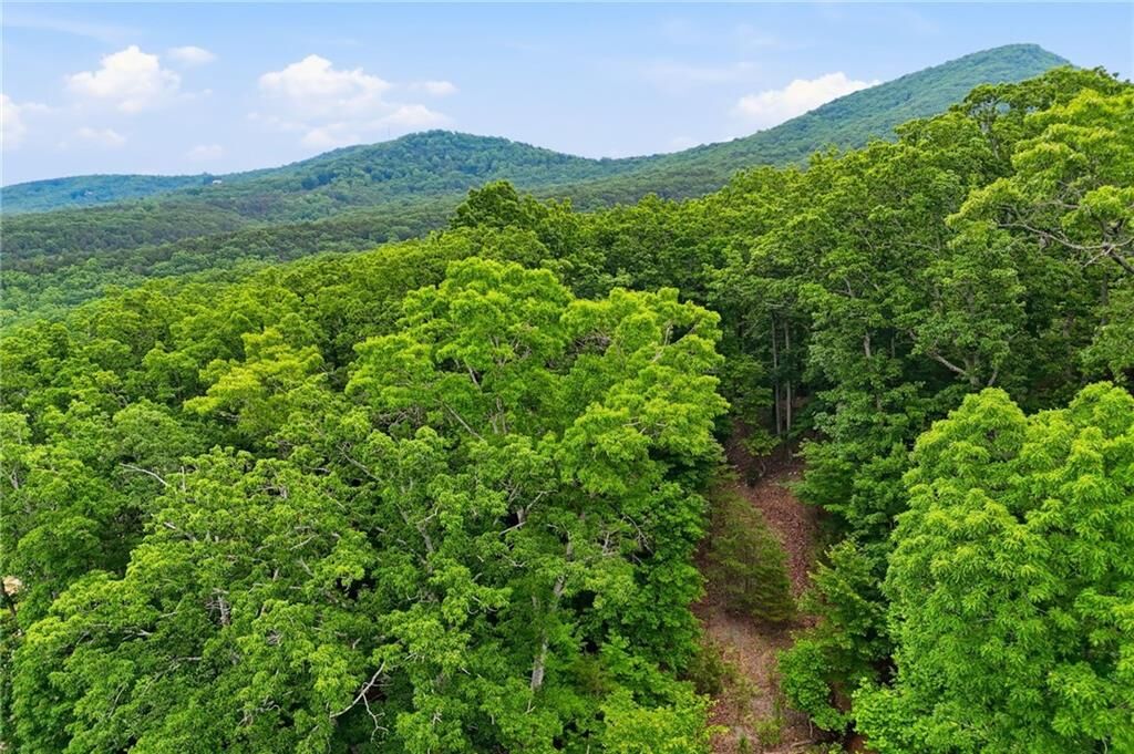 Property Photo:  0 Owl Ridge Way  GA 30143 