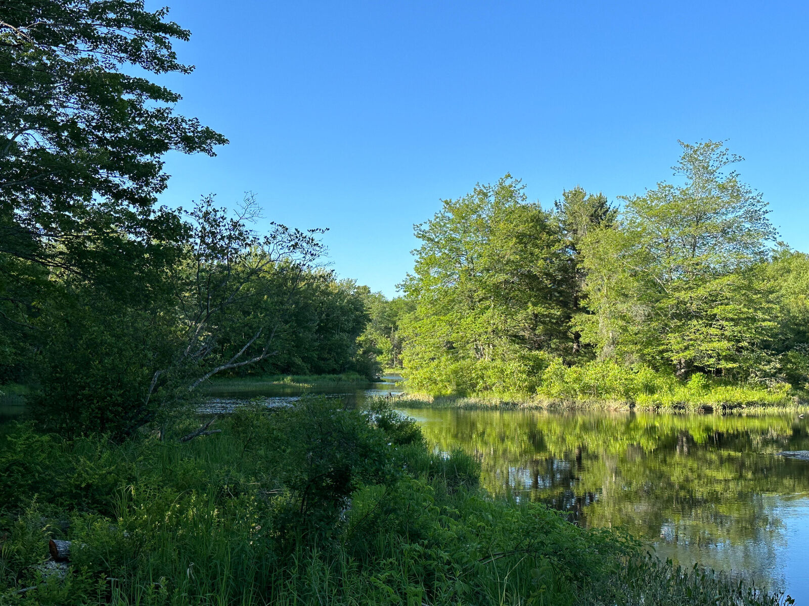 Property Photo:  87 Bangor Road  ME 04605 