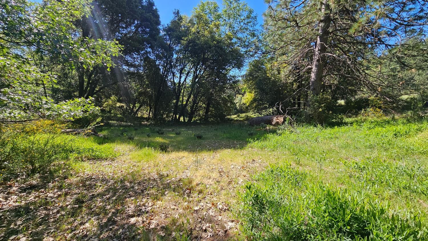Property Photo:  0 North Canyon Way  CA 95713 