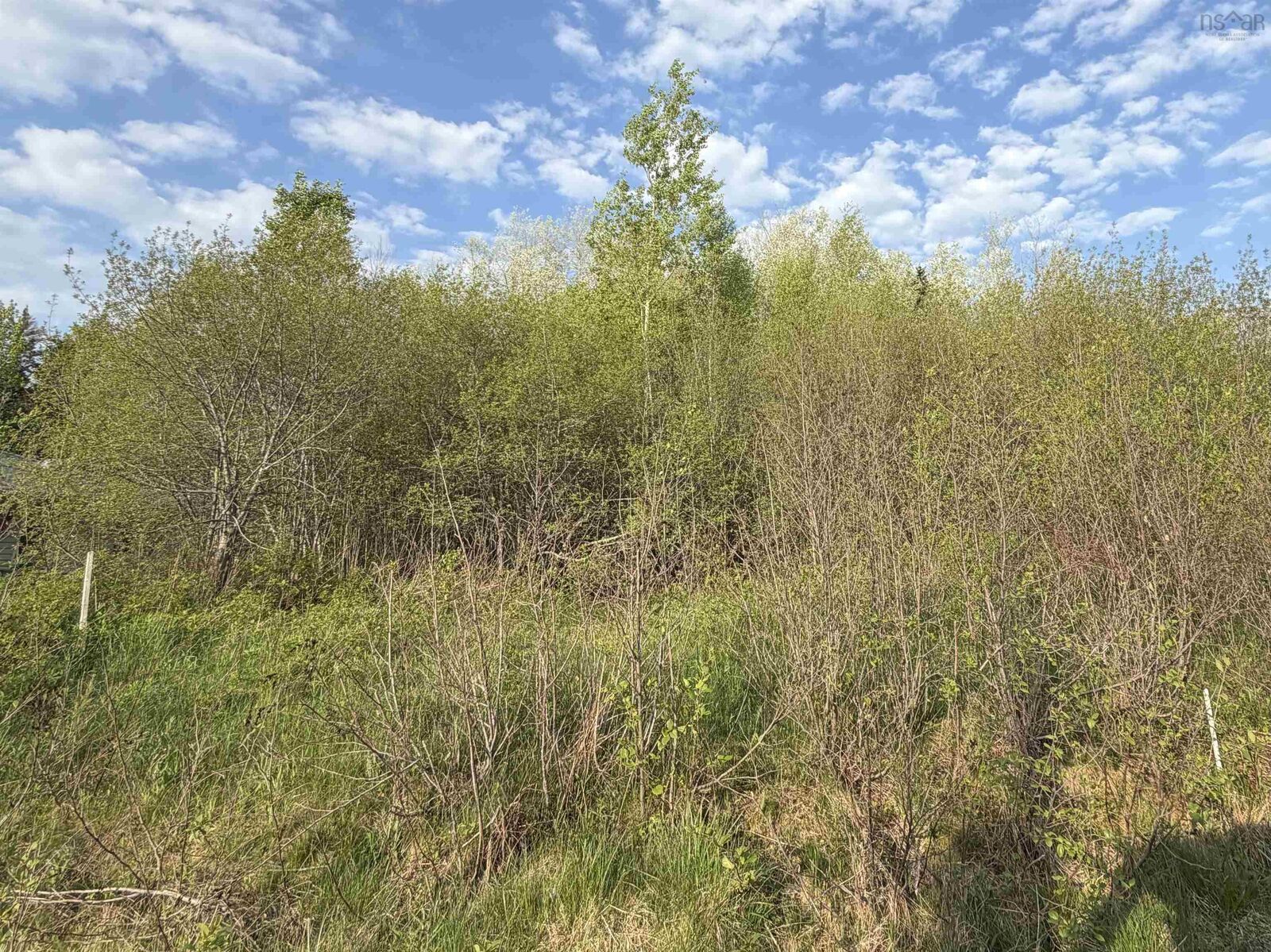 Property Photo:  Lot 19 Belair Drive  NS B0V 1A0 