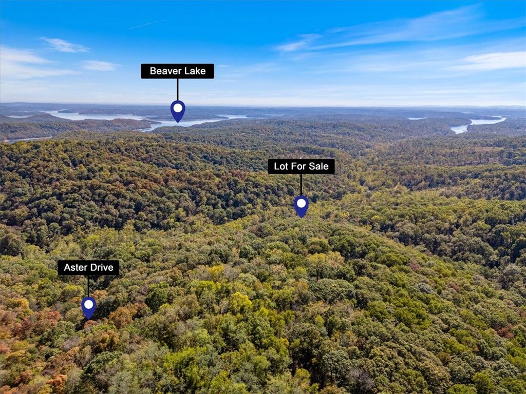 Property Photo:  Lot 265 Aster Drive  AR 72756 