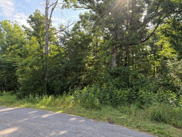Property Photo:  Tbd Drayton Circle  AR 72715 