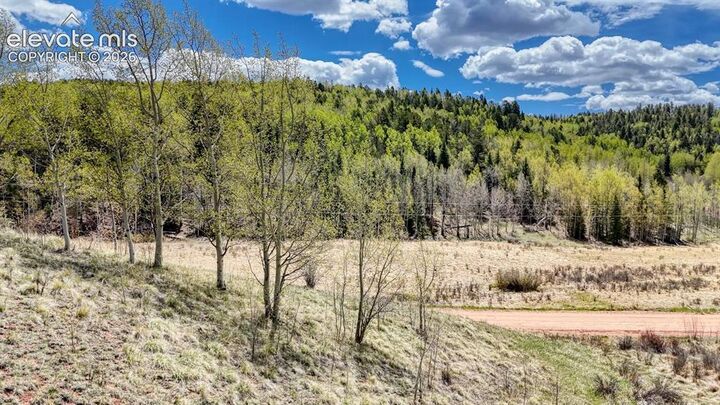 Property Photo:  2031 Gold King Drive  CO 80813 