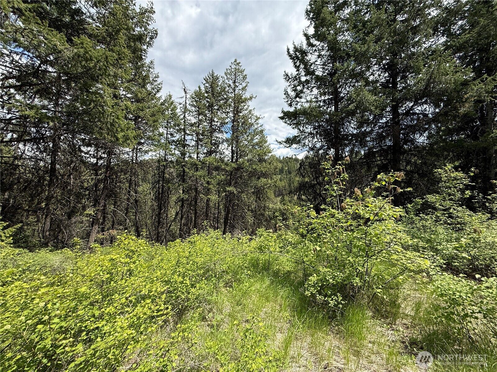 Property Photo:  0 Lot 131  Slippery Hill Road  WA 99166 