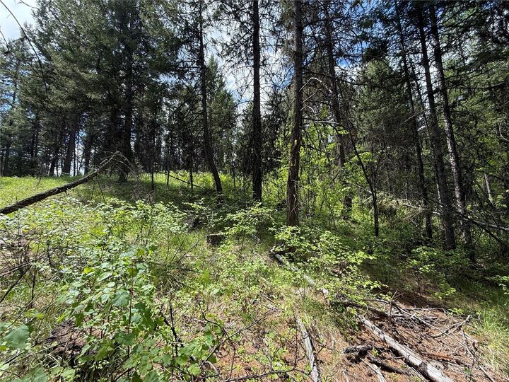 Property Photo:  0  Knob Hill Road E  WA 99166 
